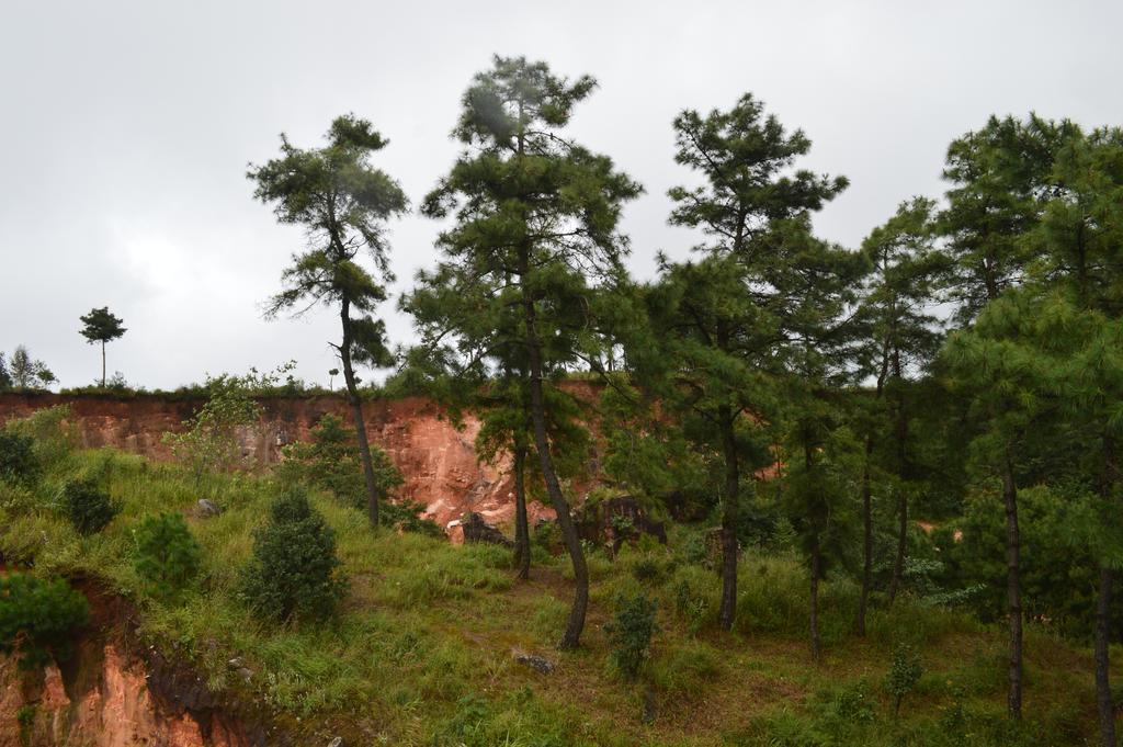 Orange Homestay Shillong Dış mekan fotoğraf