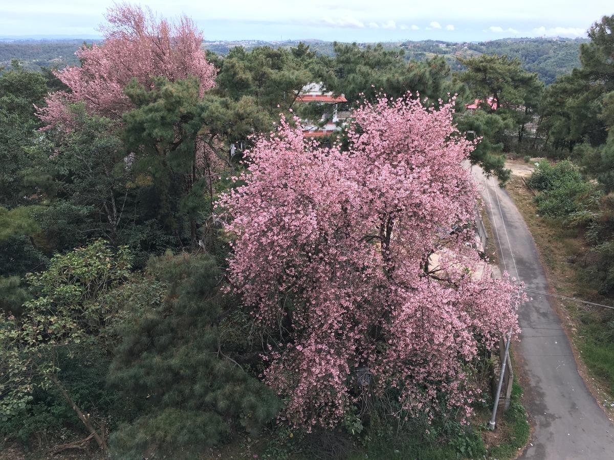 Orange Homestay Shillong Dış mekan fotoğraf